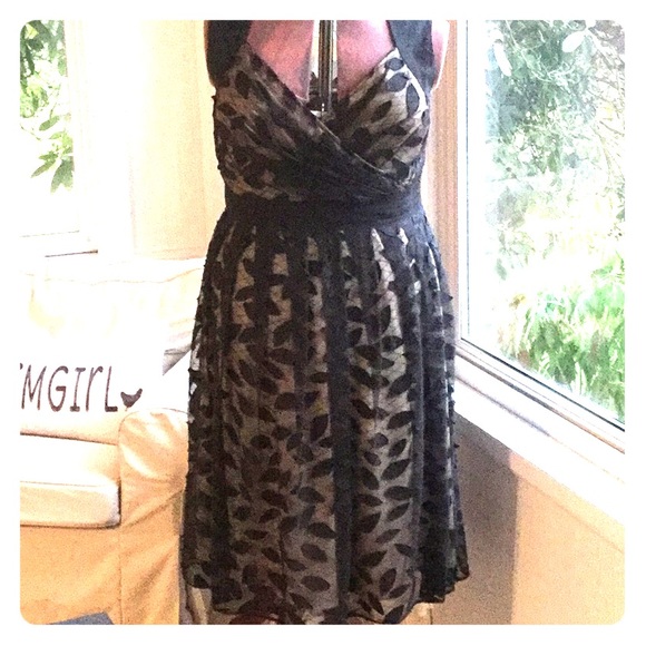 Adrianna Papell Dresses & Skirts - Adrianna Papell 18W Vintage Inspired Party Dress.